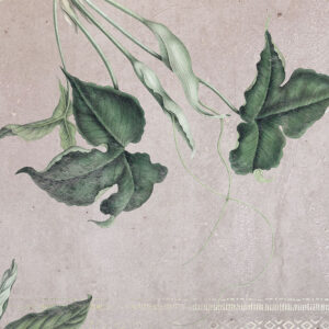 Tropic Concrete