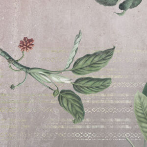 Tropic Concrete