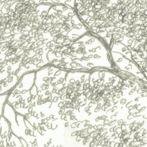 Noble Trees