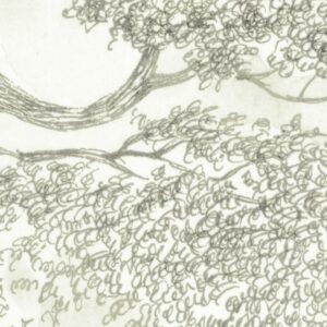 Noble Trees