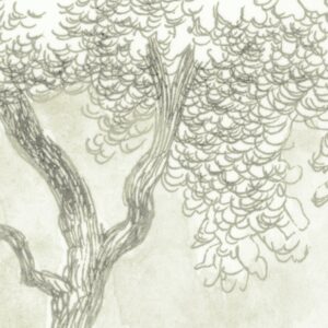Noble Trees