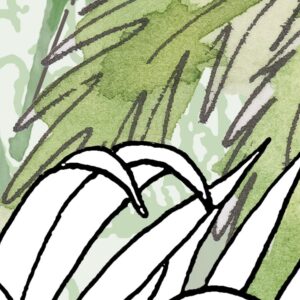 Hortus