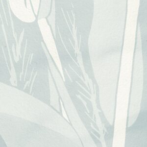 Reed