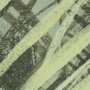 Palm Fronds
