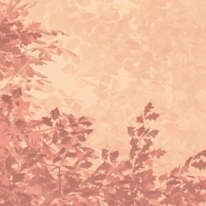Heartwood