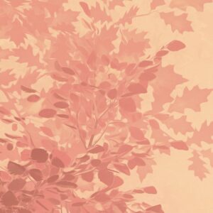 Heartwood