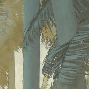 Misty Jungle