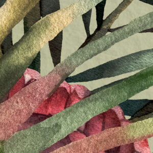 Jungle Spot