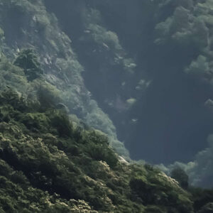 The Summit