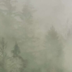 Tales of the Carpathians