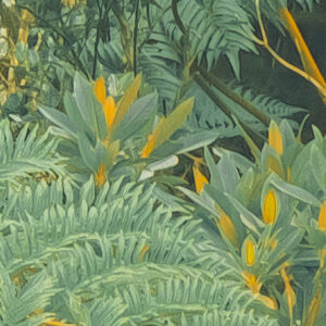 Jungle Lands
