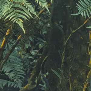 Jungle Lands