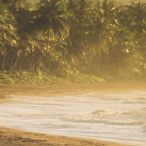 Golden Lands