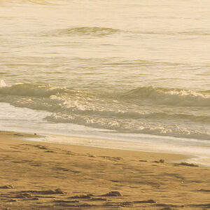 Golden Lands