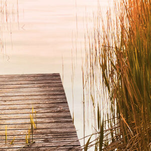 Lakeside