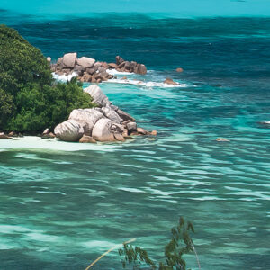 The Sea View