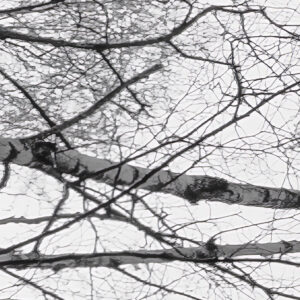 Weiss-Blau