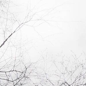 Weiss-Blau