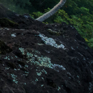 Jurassic Island