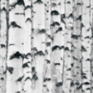 Woods