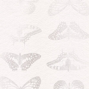 Mur de Papillons