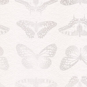 Mur de Papillons