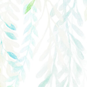 Summer Leaves