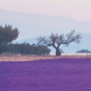 Provence