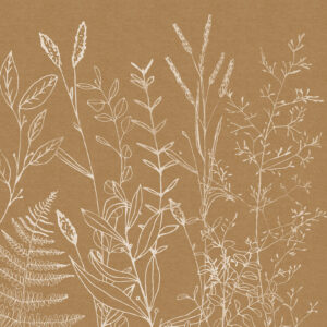 Herbs Garden