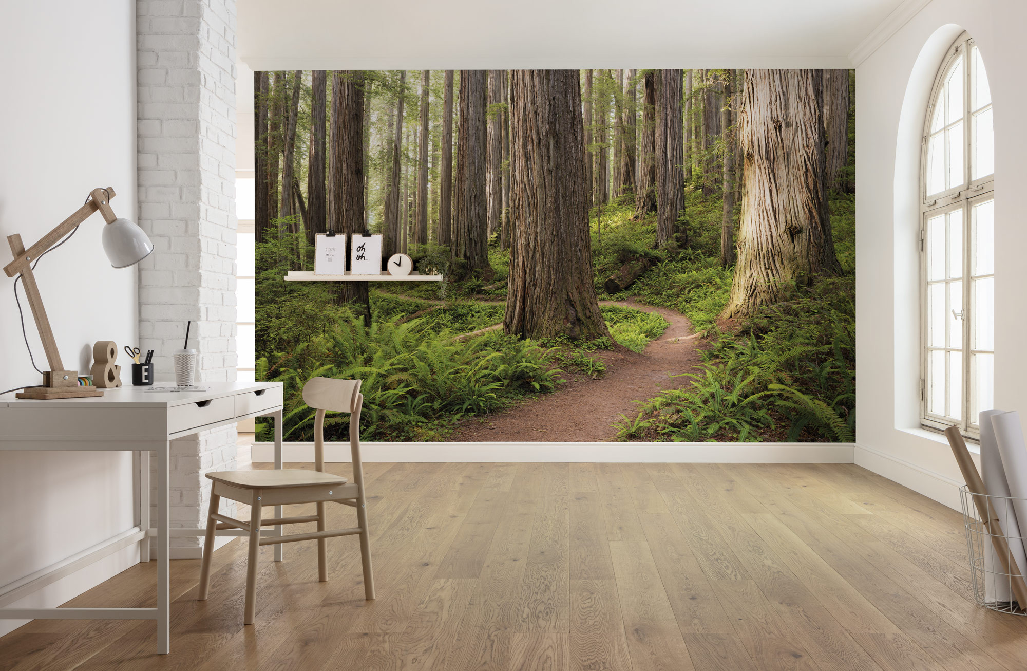 Redwood Trail