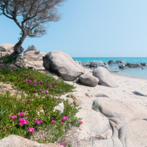 Mediterrane Träume