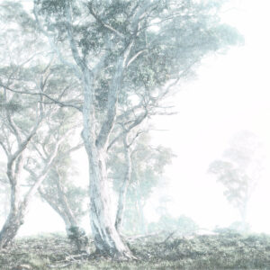 Magic Trees