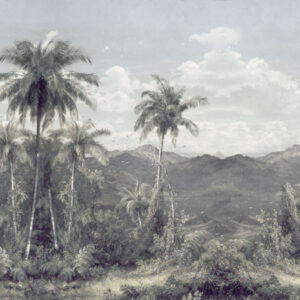 The Exotic Land