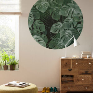 Novel Monstera