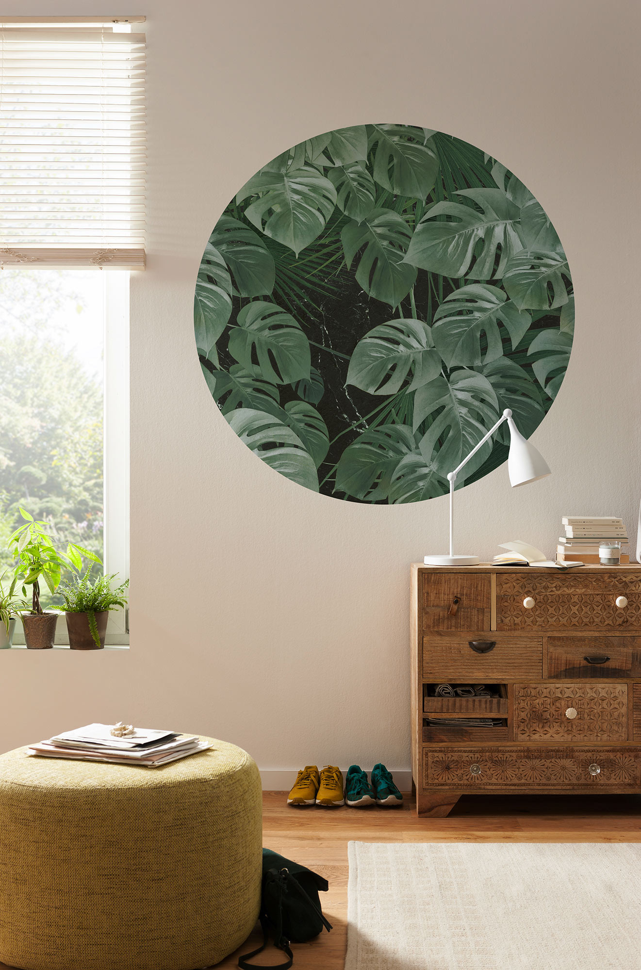 Novel Monstera
