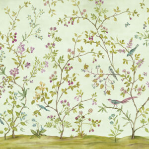 Oiseaux du Paradis