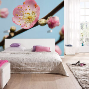 Peach Blossom