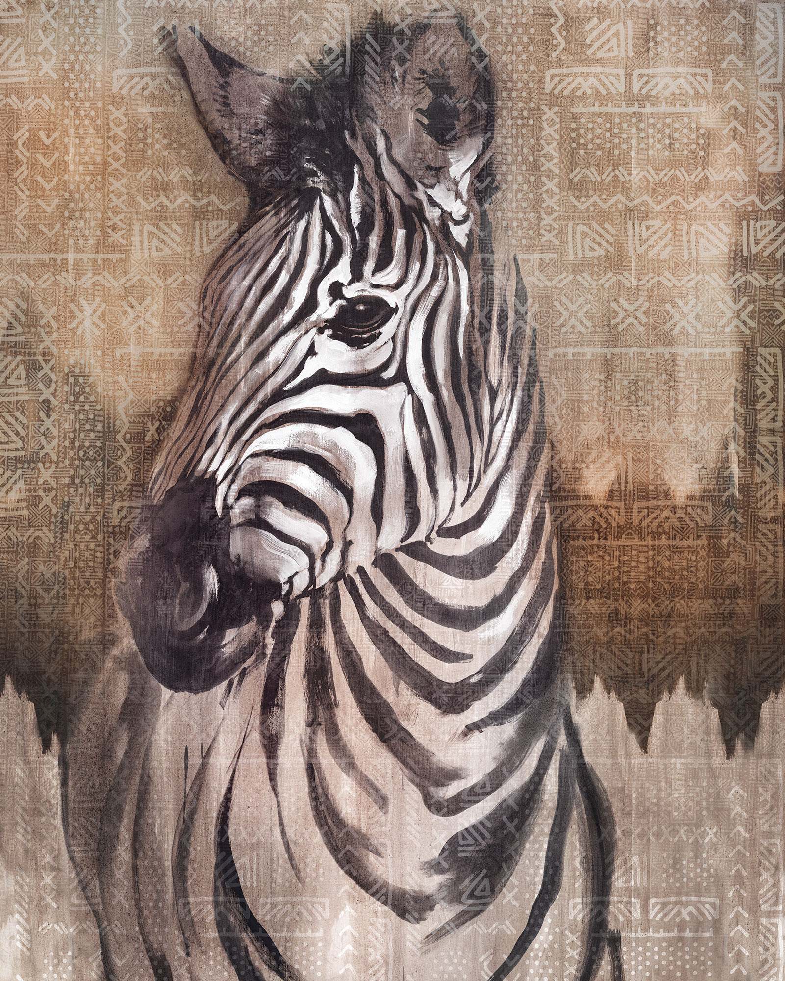 Zebra