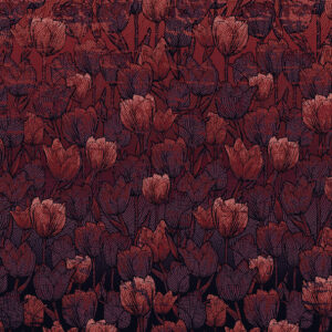 Tulipe