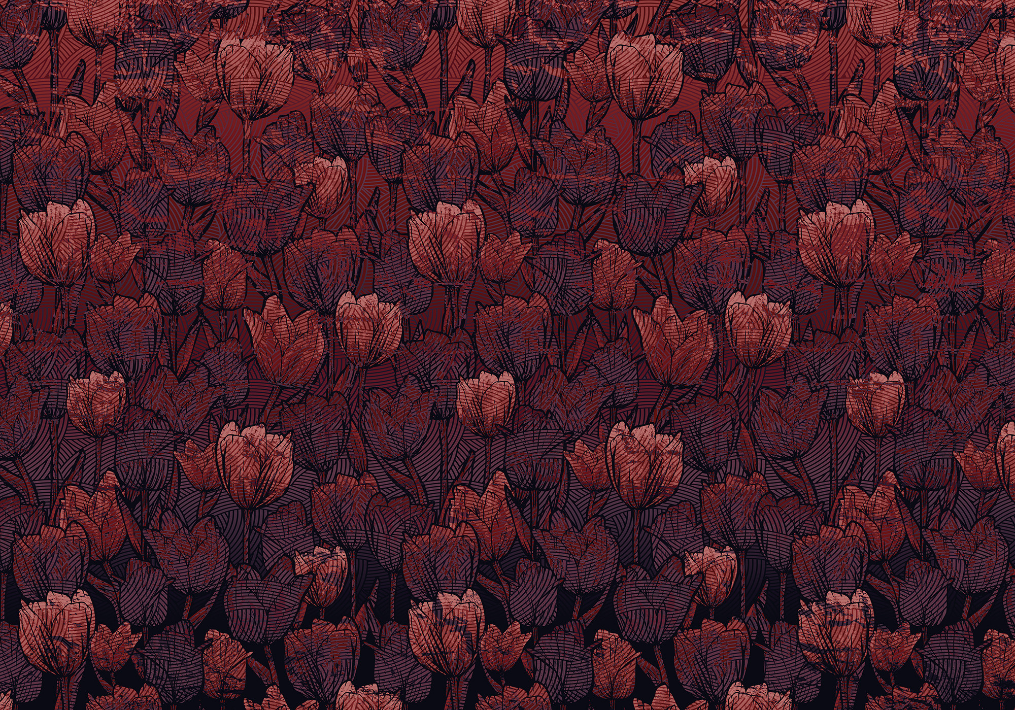 Tulipe