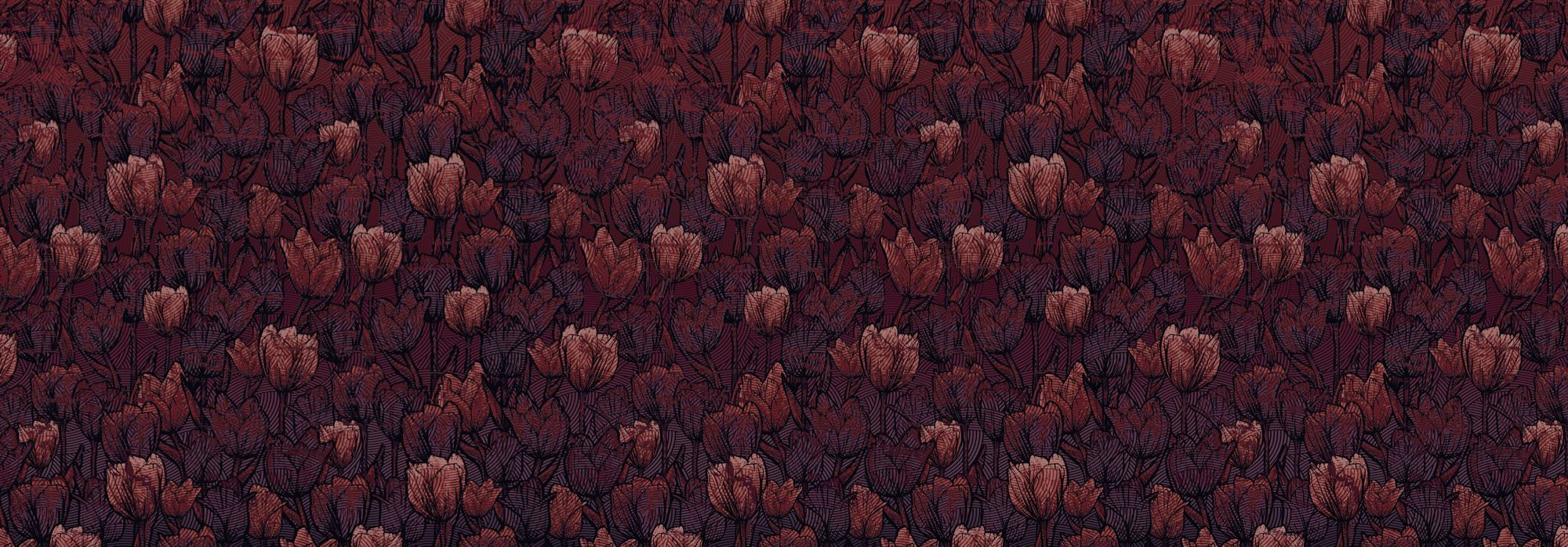 Tulipe