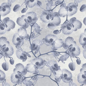 Orchidees