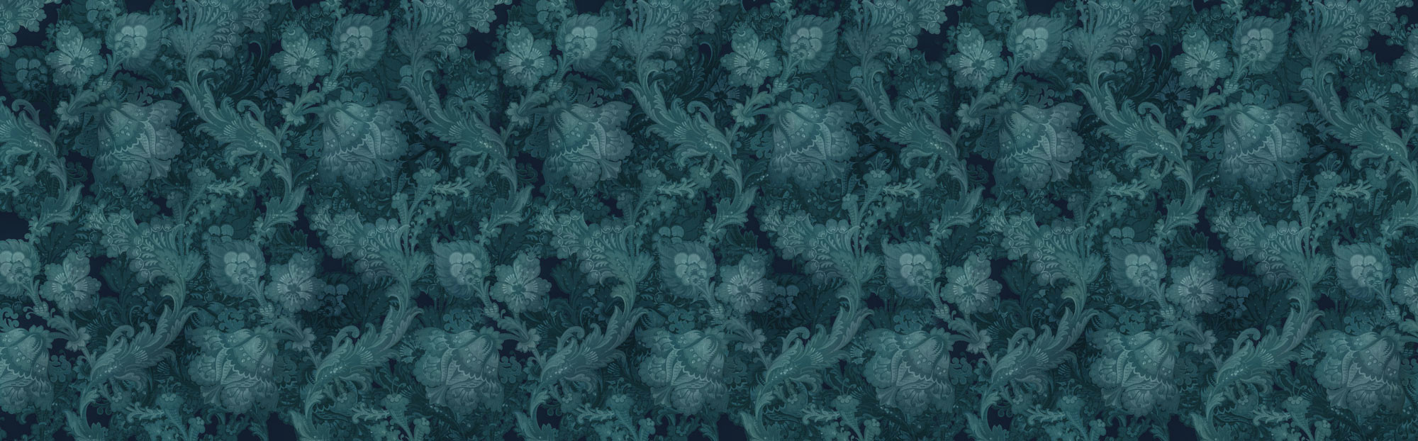 Fleurs de Nuit