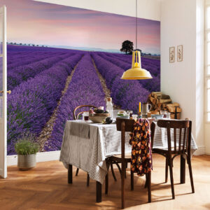 Provence
