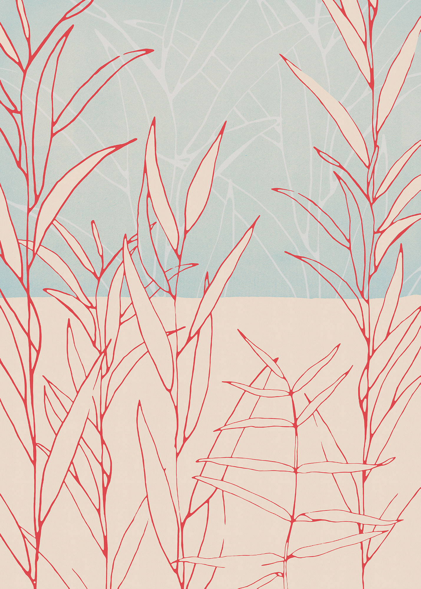 Plain