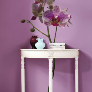 Orchidee