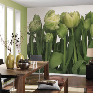 Tulips