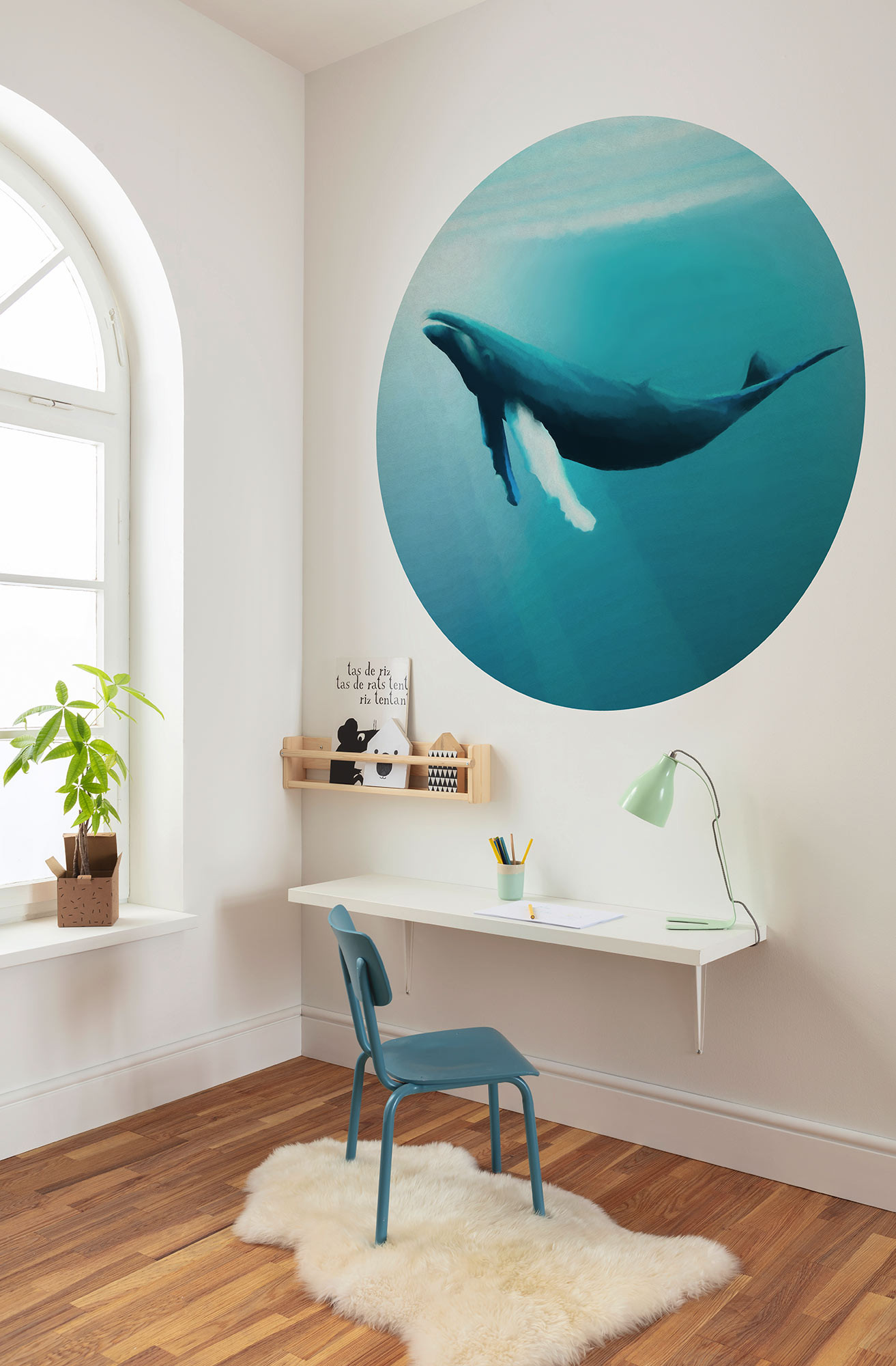 Whale Watching