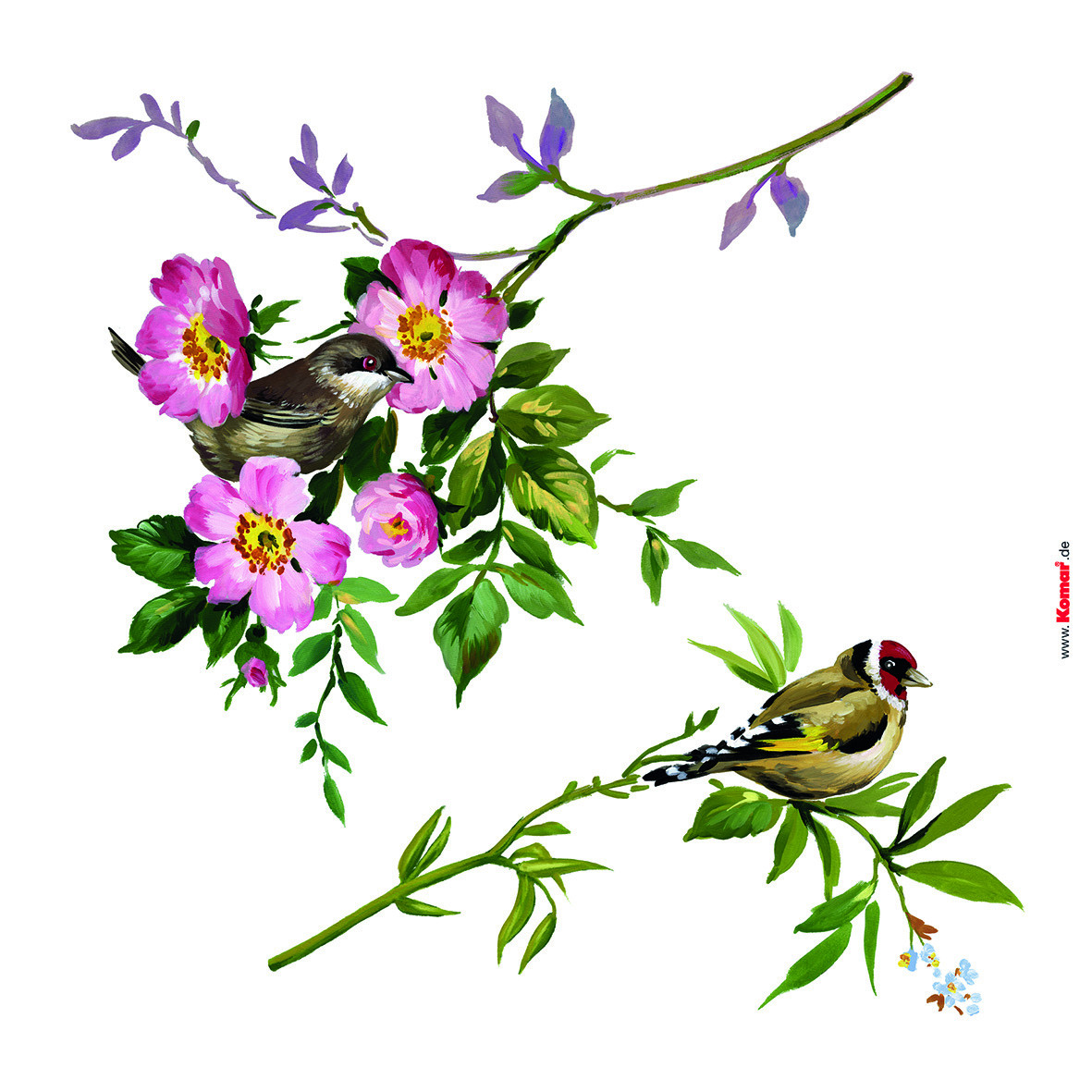 Spring Fever