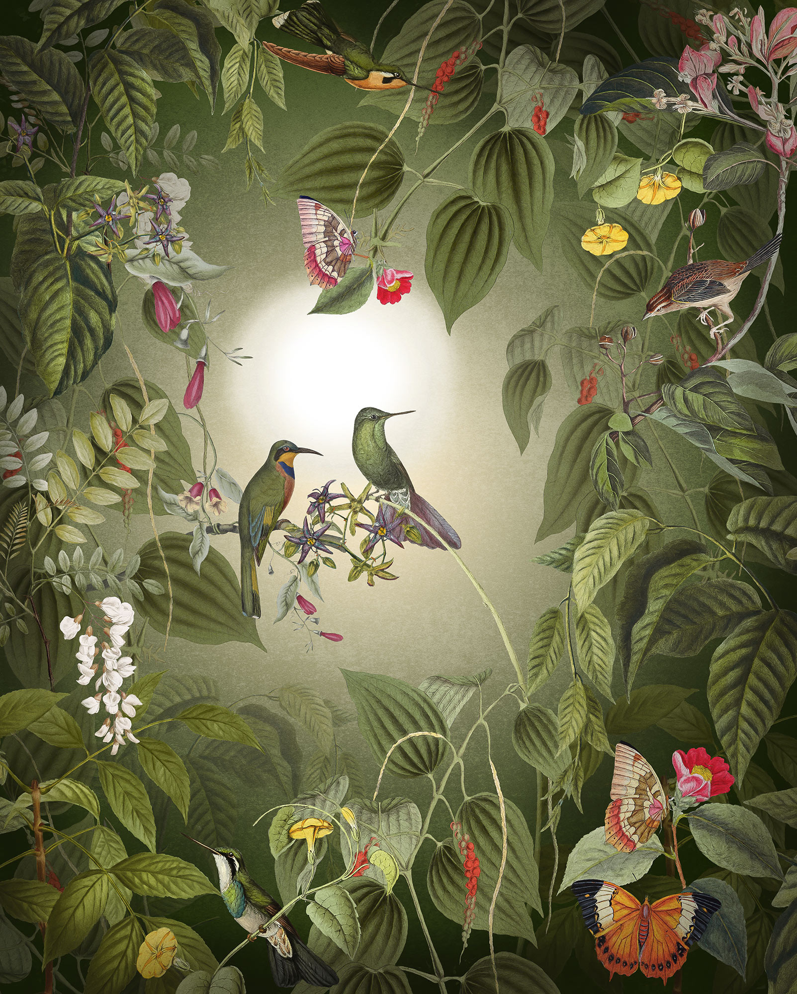 Wildlife Birds
